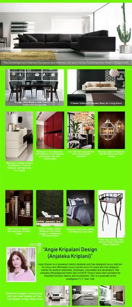 Angies modern interior design solutions 2