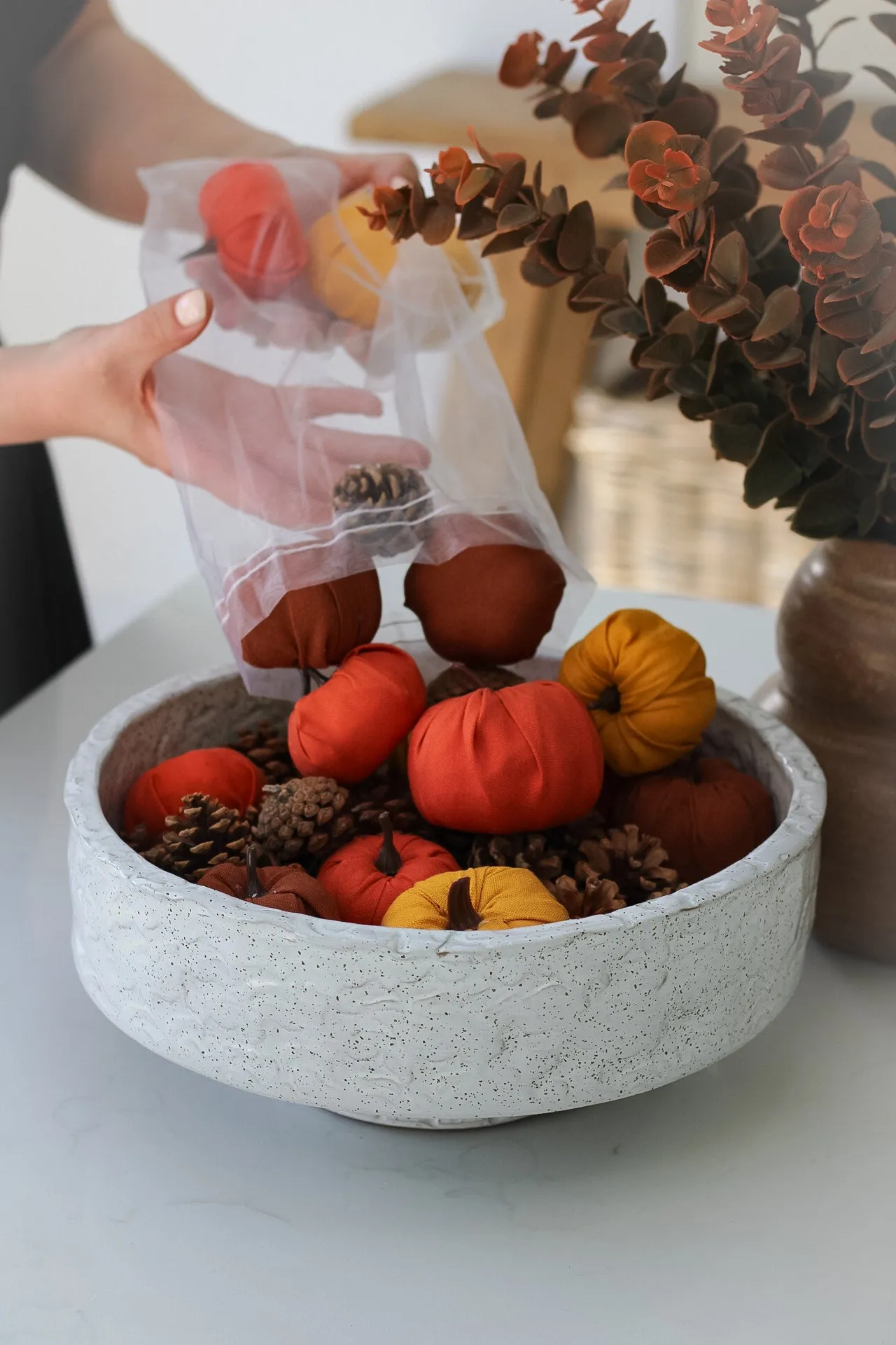 Bag of Autumn Orange Pumpkins and Pinecones