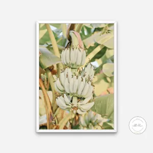 Banana Tree Print INSTANT DOWNLOAD Art Print, Fruits Poster, Banana Leaf, Boho Room Decor, Beige Green, Botanical Wall Art, Modern Boho Wall Art