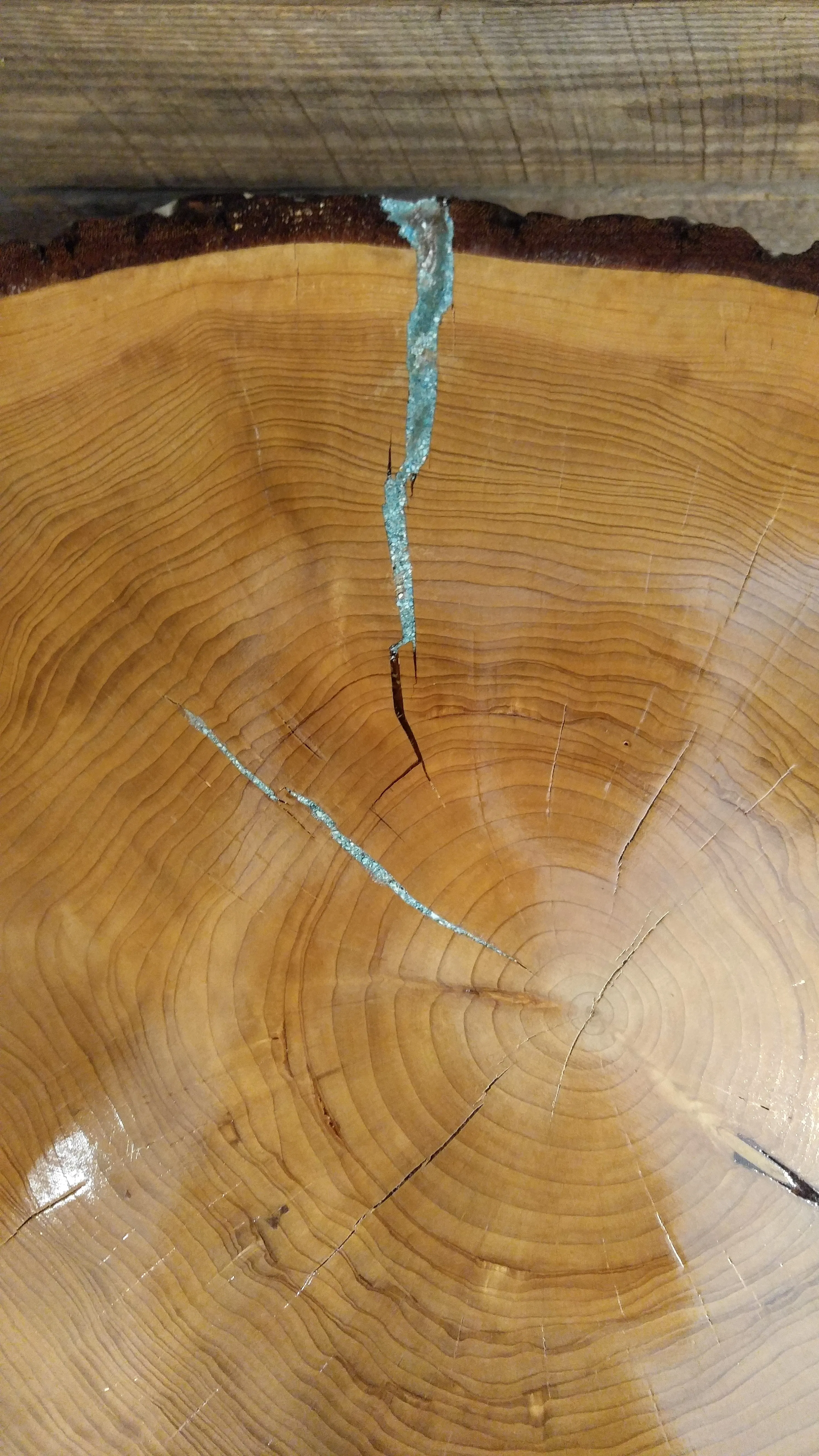 Handmade Deodar Cedar Accent Table with Live Edge Bark and Steel Pin Legs