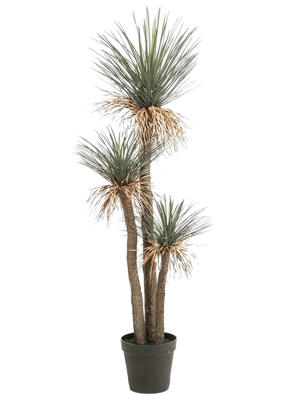 Hedgehog Artificial Plant Premium Faux 180cm Height